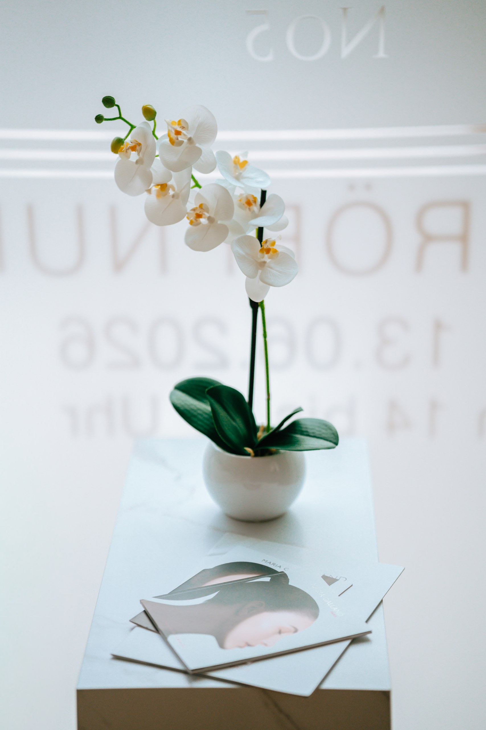 Orchidee auf einem Beistelltisch im Beauty Studio No5