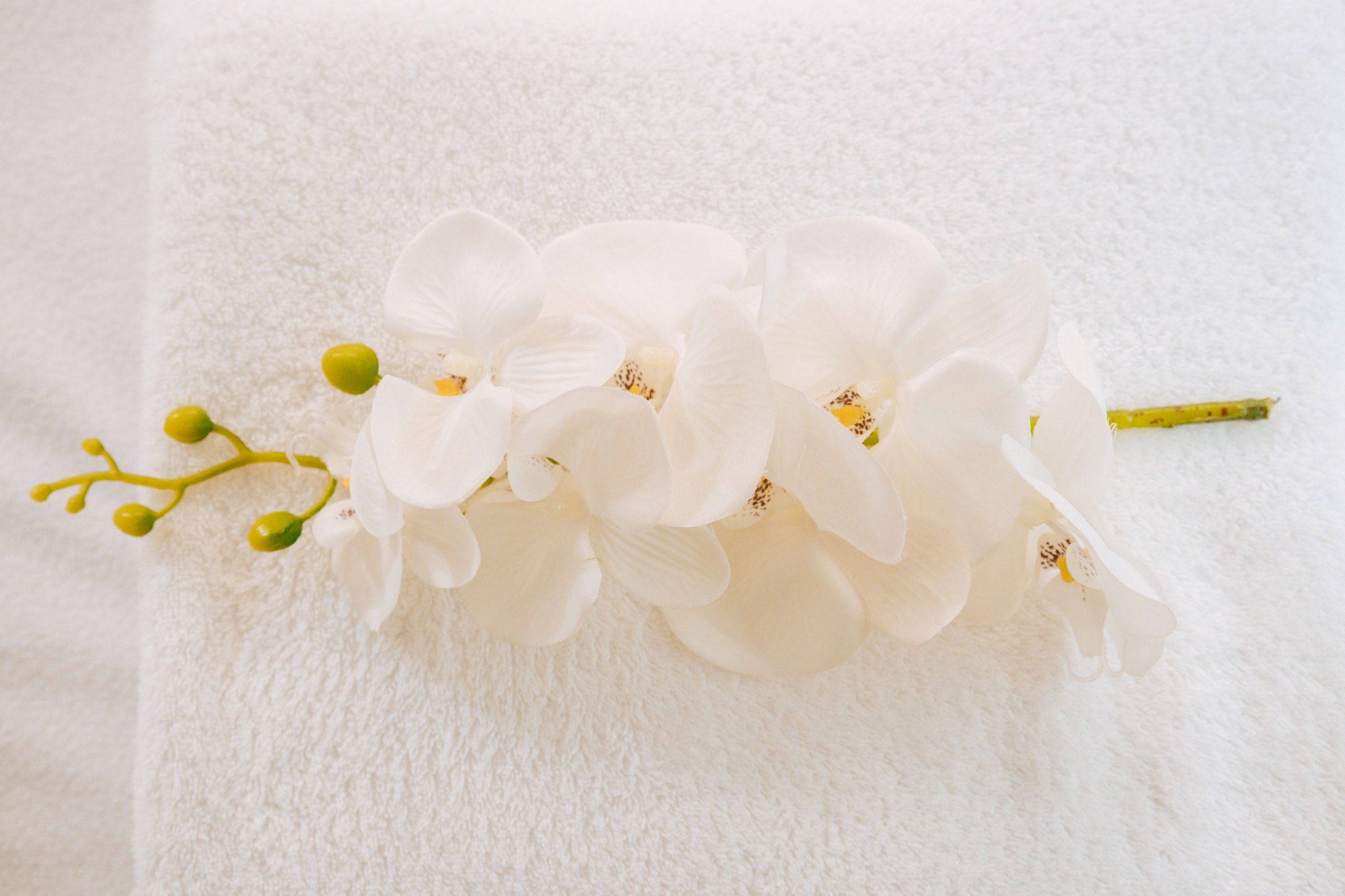 Orchidee auf einem Handtuch in Nahaufnahme